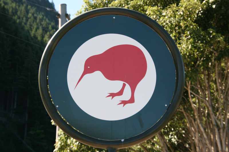 Nieuw-Zeeland 2011 - 1636